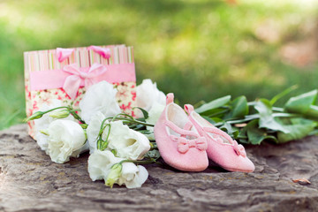 Pink baby booties and white flowers in the park. Pregnancy conce