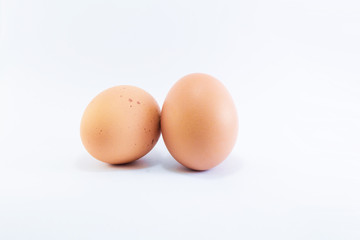 egg