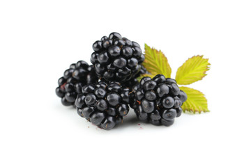 Blackberries isolated on a white