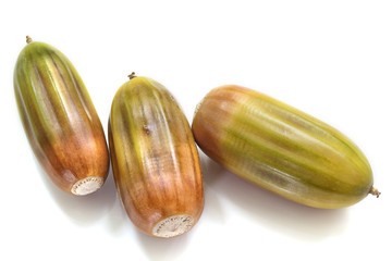 acorns on a white background