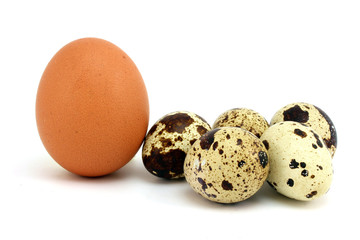 Quail eggs and chicken