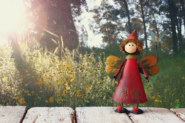 cute fairy on wooden table in front of rural forest background
