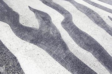 Zebra crossing on asphalt