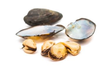 group of boiled mussels in shells isolated