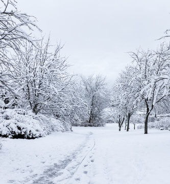 First Day Winter Images – Browse 29,408 Stock Photos, Vectors, and