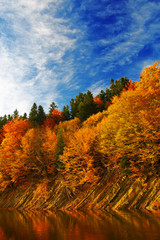 Fototapeta na wymiar autumn forest by the river