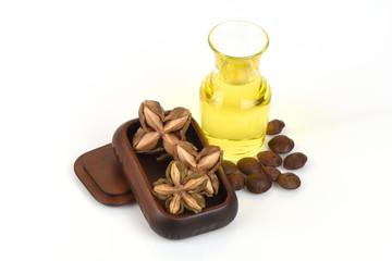 Plukenetia volubilis, commonly known as sacha inchi, sacha peanut, mountain peanut or Inca-peanut, Sacha inchi, Sacha inchi, Sacha mani, Inca peanut oil from seeds and Sacha.