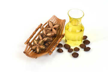 Plukenetia volubilis, commonly known as sacha inchi, sacha peanut, mountain peanut or Inca-peanut, Sacha inchi, Sacha inchi, Sacha mani, Inca peanut oil from seeds and Sacha.