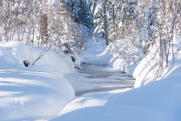 Little river in forest covered with snow