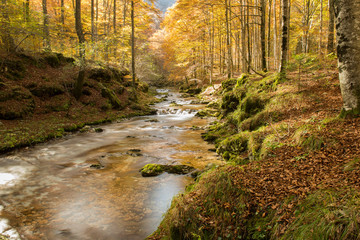 Sorgenti dell'Arzino