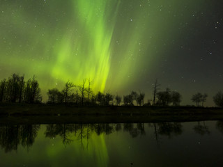 Aurora Borealis (Northern lights) in Alberta, Canada