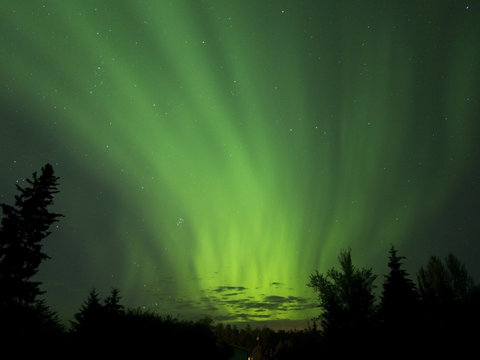 Aurora Borealis (Northern lights) in Alberta, Canada