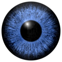 Blue eye iris isolated element on white background
