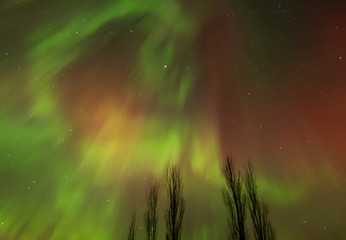 Aurora Borealis (Northern lights) in Alberta, Canada