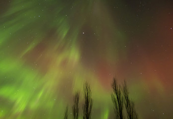 Aurora Borealis (Northern lights) in Alberta, Canada