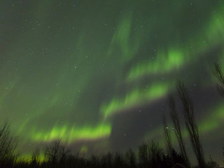 Aurora Borealis (Northern lights) in Alberta, Canada