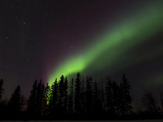 Fototapeta premium Aurora Borealis (Northern lights) in Alberta, Canada