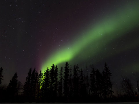 Aurora Borealis (Northern lights) in Alberta, Canada © Nata K
