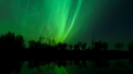Aurora Borealis (Northern lights) in Alberta, Canada