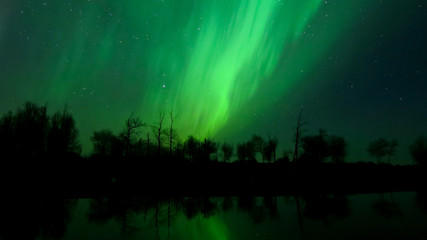 Aurora Borealis (Northern lights) in Alberta, Canada