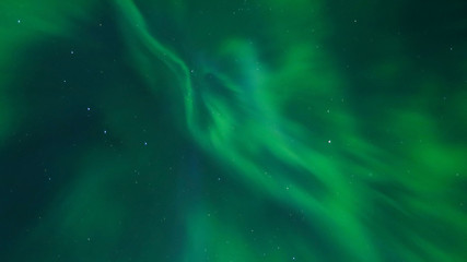 Obraz na płótnie Canvas Aurora Borealis (Northern lights) in Alberta, Canada