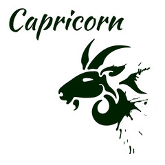 zodiac sign Capricorn