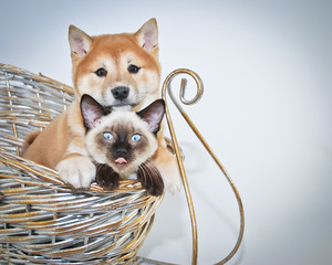 We all Have That One Freind.....