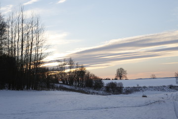 winter landscape