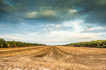 Fototapeta premium view of Kharkov desert in autumn