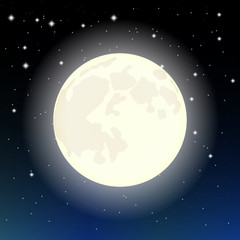 the moon in the starry sky