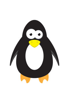 cute cartoon penguin animal vector character
