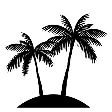 two palm trees silhouette