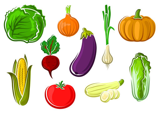 Isolated ripe healthy farm vegetables