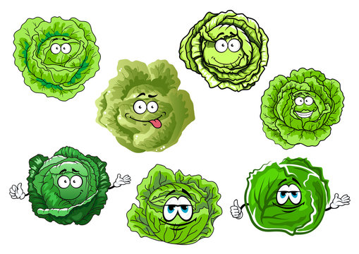 Cartoon crunchy green cabbage vegetables
