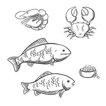 Fish, shrimp, crab and caviar sketches