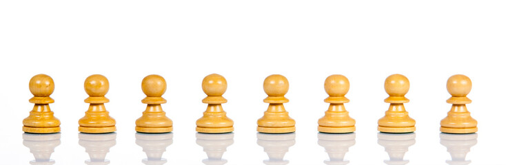 Wooden chess. Set of chess figures. Chess pieces isolated on  wh