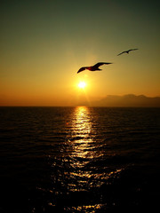 Fototapeta na wymiar sunrise over sea