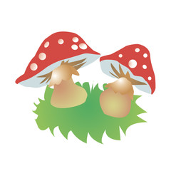 Red mushroom illustration of amanita  