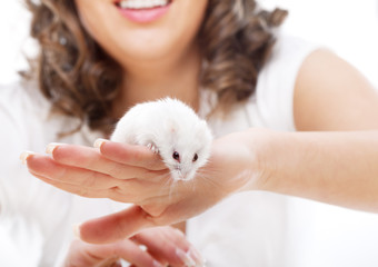 White mouse in female hands