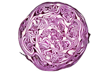 Cabbage half