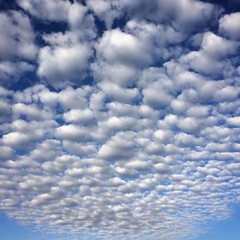 Altocumulus Clouds