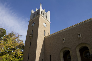 早稲田大学
