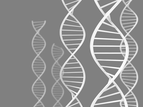 Genetics and science research concept of spiral DNA strings