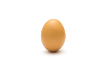 chicken egg