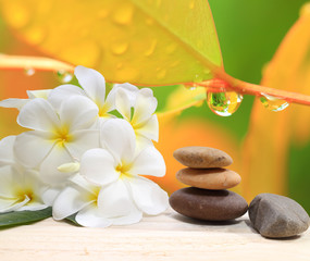 Zen spa concept background - Zen massage stones with frangipani plumeria flower and Water drops on the nature background © sittinan