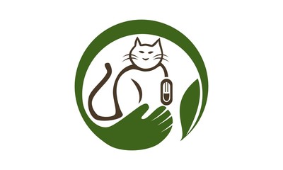 Cat Veterinarly Care
