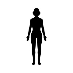 Female human body belonging to an adult woman