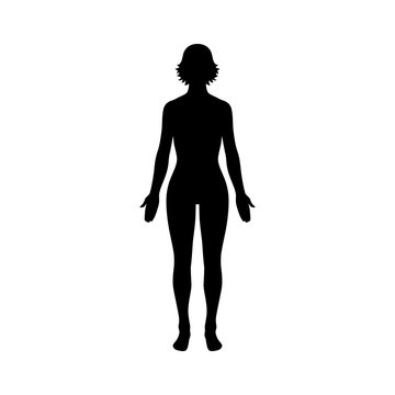 Female human body belonging to an adult woman