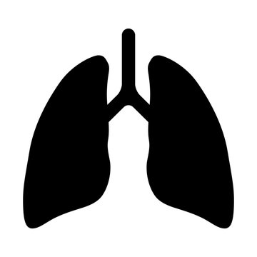 Human lung flat icon for app and website