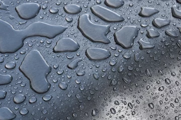 Poster Water Drops on Curved Metal © skylightpictures